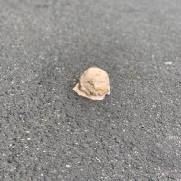 Defi-ant (@siregdugmas) 's Twitter Profile