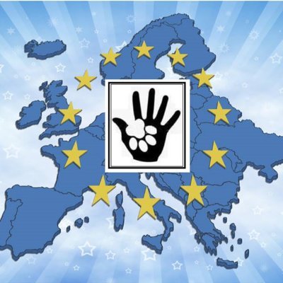 LinkEuropean Profile Picture