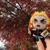 まなと (@manatorihikiaka) 's Twitter Profile