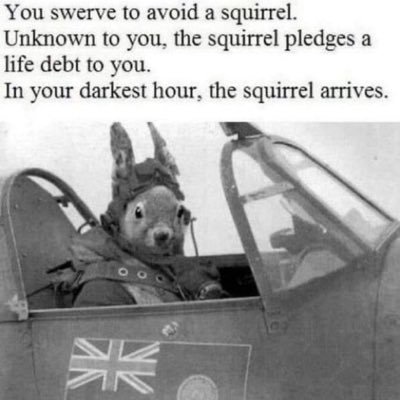 AnsticeMark's profile picture. 