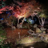 ぐっちゃん (@m74735543) Twitter profile photo