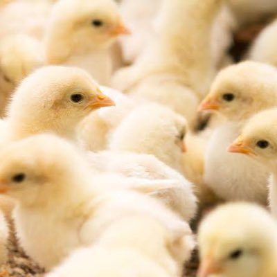 123inout's profile picture. 福祉士