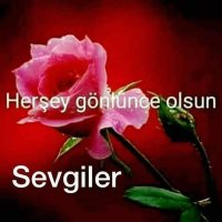 Ben bir cumhuriyet kadınıyım .(@EsinTetik6) 's Twitter Profile Photo