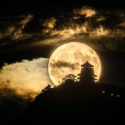 3vf3cvVMU4ukanY's profile picture. 