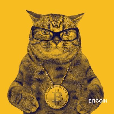 Crypto is the future, but not all crypto will be the future