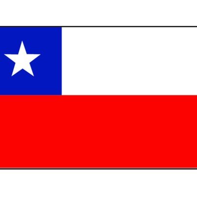 PatricioLotito's profile picture. 