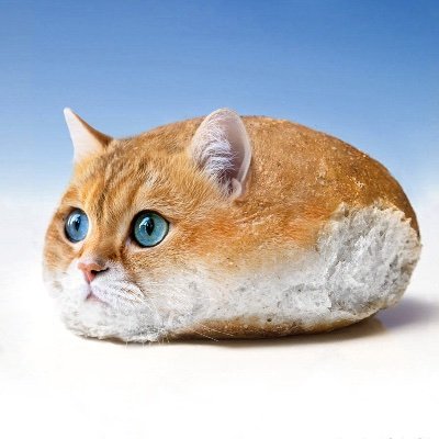 pppopopoko's profile picture. ☁️💭🍞🐈💡
 A fluffy creative cloud.