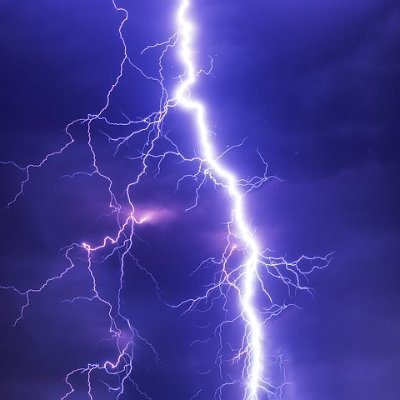 SFJB_DMNTN's profile picture. sariance vwaps