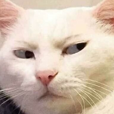 nuggeetttssss's profile picture. 공부에 지친