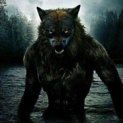 jptaylor1977's profile picture. 