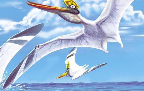 MightyMeatSauce's profile picture. (trash/garbage) 🗑 Proudly followed by more bots than friends. 🗑 I Hate It Here