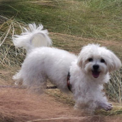 z6Y5TjVP01782JO's profile picture. 