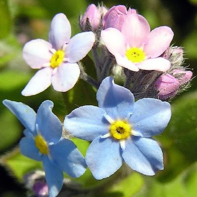 cryptominingtd's profile picture. 