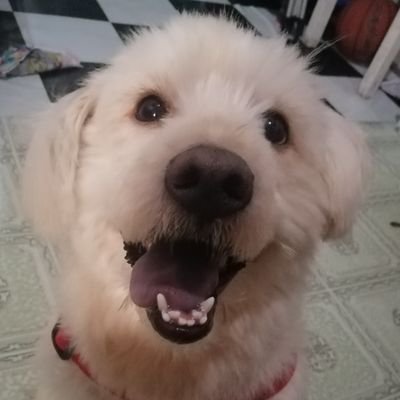 KOFIさんのプロフィール画像