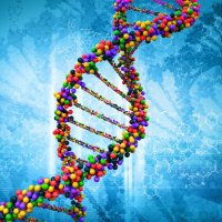 Biology_BearsdenAC (@bearsdenac) 's Twitter Profile