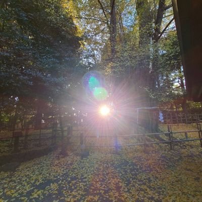 f3HyjJrxD1bF3NN's profile picture. 