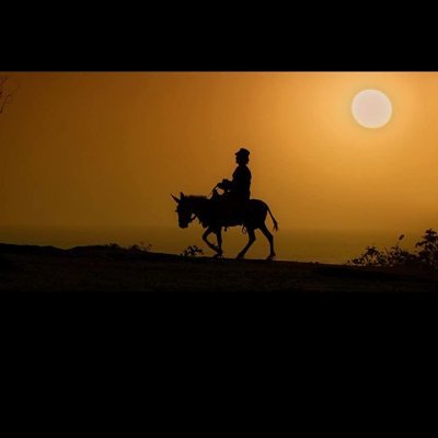 Takgomel2's profile picture. Volleyball
Joker😉