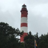 Frau D aus E π·πΊπ¦π³οΈβππ (@fraudause) 's Twitter Profile