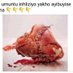 Sifiso@GP92 (@mafesa_gp) Twitter profile photo Sifiso@GP92 (@mafesa_gp) Twitter profile photo