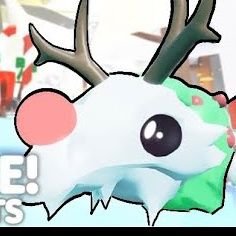 Ka87Maha's profile picture. Я не являюсь разработчиком игры Адопт ми, я просто создала этот аккаунт для новостей про эту замечательную игру! Заходи к нам не пожалеешь! ☃️❄🥂🎄