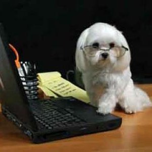 donnar668's profile picture. Writer of online and off-line articles, stories, and news accounts.