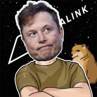 Crypto EMusk (@cryptoemusk) 's Twitter Profile