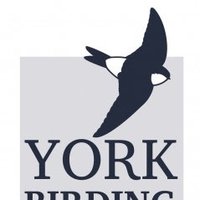York Birding (@yorkbirding) 's Twitter Profile