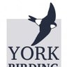 YorkBirding's profile picture. Twitter feed for bird news in the York Area, just add @yorkbirding to your tweets with sightings or email recorder@yorkbirding.org.uk #yorkbirds