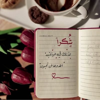 BrekMhmd's profile picture. إنما يهجرك من كان وده مكذوبا