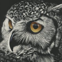 LegKiller (@killer_leg) 's Twitter Profile Photo LegKiller (@killer_leg) 's Twitter Profile Photo