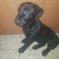 José (@quick_revive_xd) 's Twitter Profile