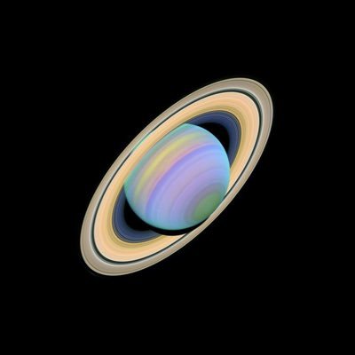 curiosity_41's profile picture. Software Engineer 👨‍💻 AI enthusiastic 🤩