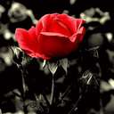 Ariel Strong - @arielstrong1 - Twitter