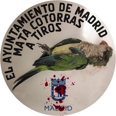 MariaBT44_'s profile picture. 