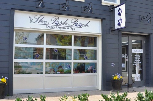 PoshPooch1's profile picture. Located in the heart of Osprey Village....A boutique daycare/spa for your fur baby!  International Certified Groomer, custom boarding kennels and play areas.