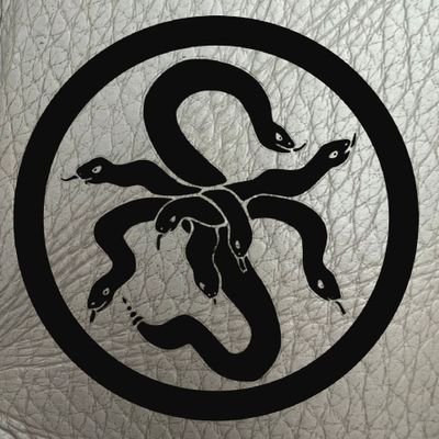 orochiglobal's profile picture. https://t.co/Q8wO3SDFiY