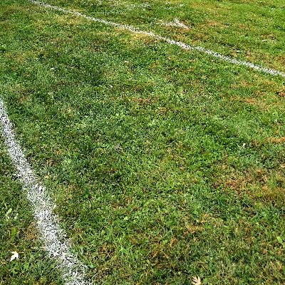 oklahomarunning's profile picture. Everything XC Everything T&F Everything Oklahoma!