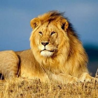 AbdelwahabAljak's profile picture. 