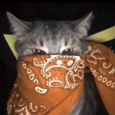 honeyxxx00's profile picture. A vida é muito curta para gastá-la em uma guerra comigo mesma.