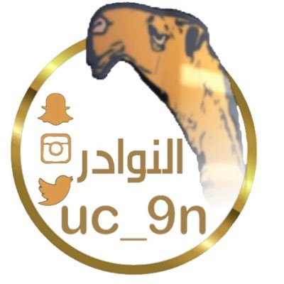 حساب النوادر الرسمي باداره / مذكر العتيبي مرحبا بالجميع رابط سناب https://t.co/IE33OsXdDC