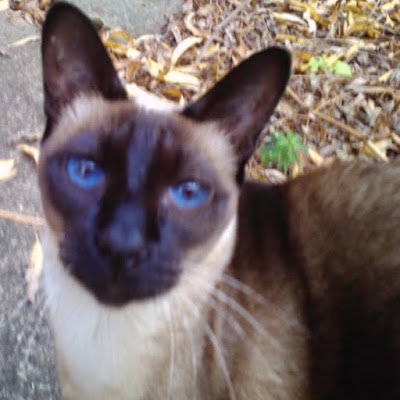 m1_blinky's profile picture. 