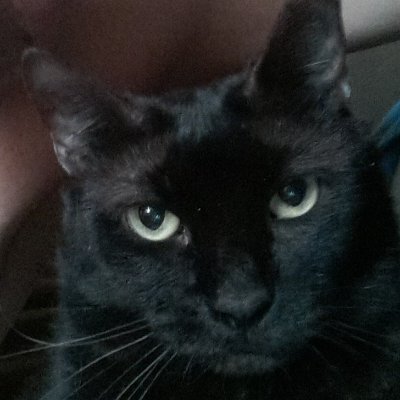 chilly13g's profile picture. 