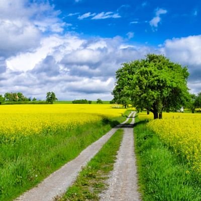 TK23848541's profile picture. 楽しく生きたい