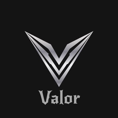 valor_ceo's profile picture. 
