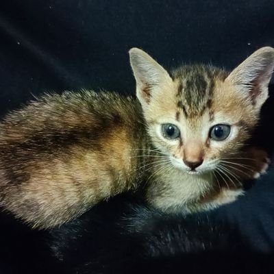 302lili's profile picture. 