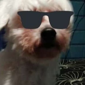 lando1789's profile picture. Ningún cleptocrata es solución.