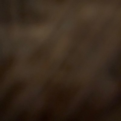 DavidPr54764702's profile picture. 