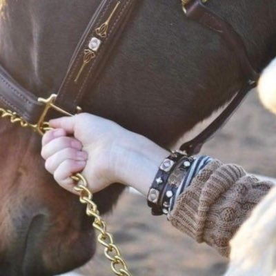 #ألقوس 🏹  __أن لم يكن ، لك أعداء _ فا أعلم _ إنك ____فآشل ______.
