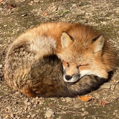 pyonce25's profile picture. 