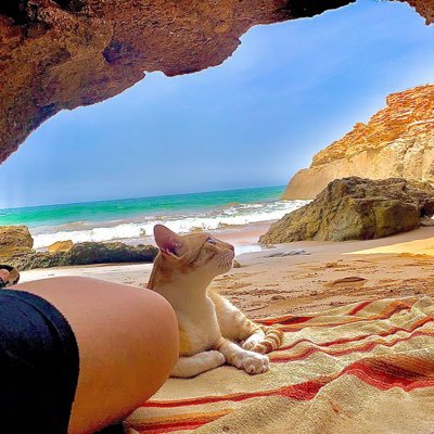 azkry_s's profile picture. 🤷🏻‍♂️